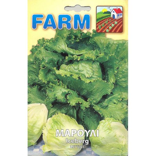 FARM 162 - ΜΑΡΟΥΛΙ ΑΪΣΜΠΕΡΓΚ - Lactuca sativa