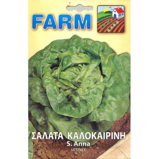 FARM 165 - ΜΑΡΟΥΛΙ ΣΑΛΑΤΑ ΚΑΛΟΚΑΙΡΙΝΗ ΣΑΝΤΑ ΑΝΝΑ - Lactuca sativa