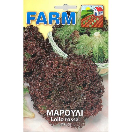 FARM 166 - ΜΑΡΟΥΛΙ ΛΟΛΑ ΚΟΚΚΙΝΗ - Lactuca sativa