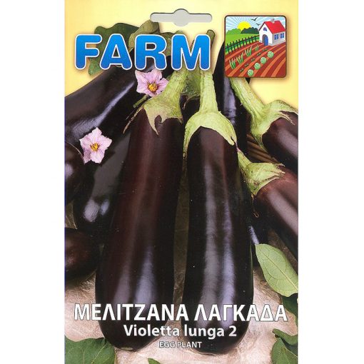 FARM 170 - ΜΕΛΙΤΖΑΝΑ ΛΑΓΚΑΔΑ ΜΑΚΡΙΑ - Solanum melongena