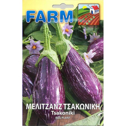 FARM 171 - ΜΕΛΙΤΖΑΝΑ ΤΣΑΚΩΝΙΚΗ - Solanum melongena