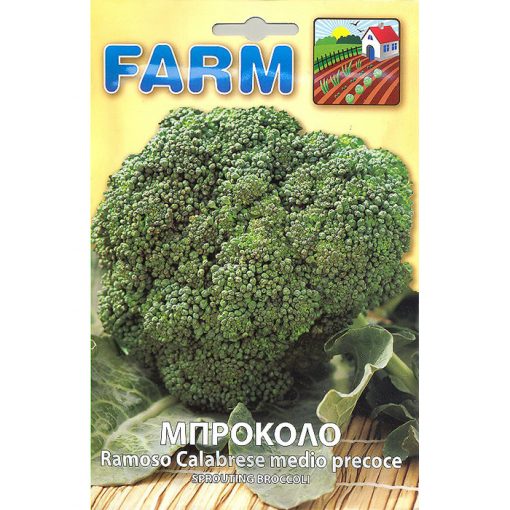 FARM 177 - ΜΠΡΟΚΟΛΟ - Brassica oleracea var. cymosa