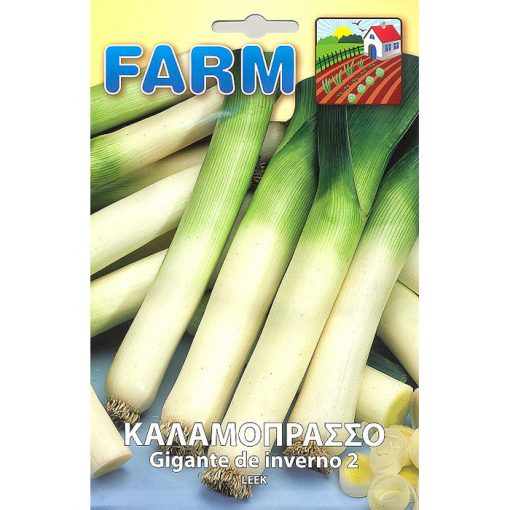 FARM 198 - ΠΡΑΣΣΟ ΓΙΓΑΣ - Allium porrum