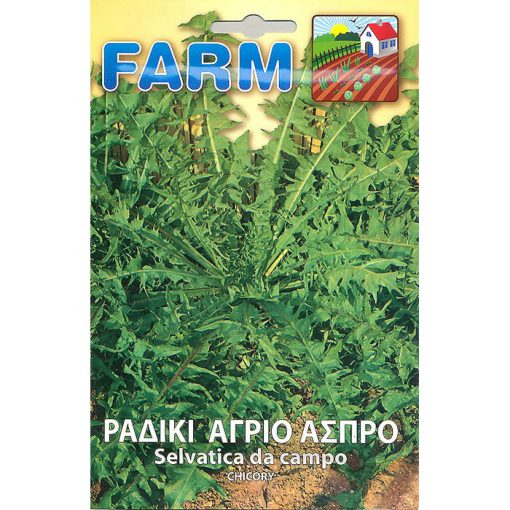 FARM 201 – Cichorium intybus