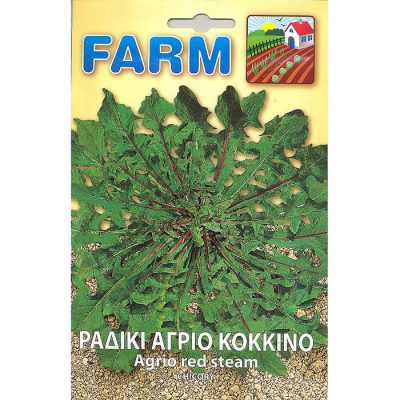 FARM 202 - ΡΑΔΙΚΙ ΑΓΡΙΟ ΚΟΚΚΙΝΟ – Cichorium intybus