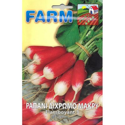 FARM 212 - ΡΑΠΑΝΙ ΜΑΚΡΥ ΔΙΧΡΩΜΟ – Raphanus sativus