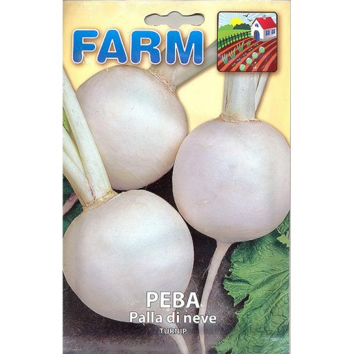 FARM 213 - Brassica rapa var. rapa
