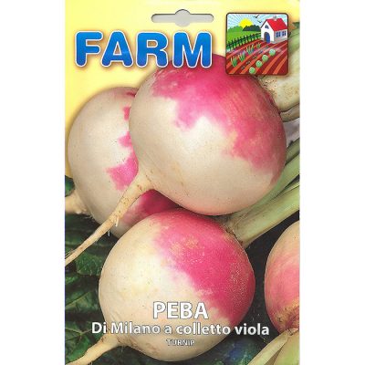 FARM 214 - ΡΑΠΑΝΙ ΡΕΒΑ ΔΙΧΡΩΜΗ – Brassica rapa var. rapa