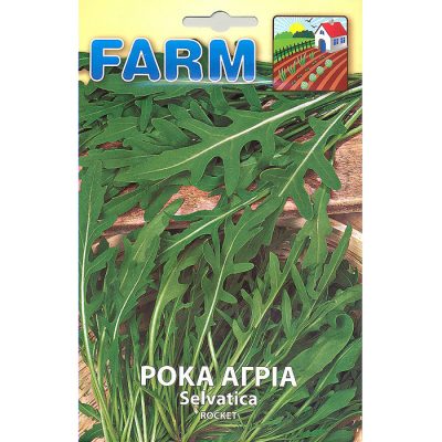 FARM 216 - ΡΟΚΑ ΑΓΡΙΑ - Diplotaxis erucoides