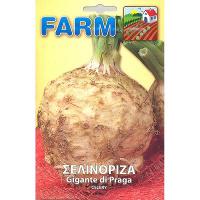 FARM 219 - Apium graveolen