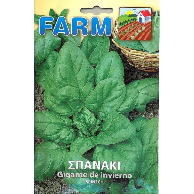 FARM 225 - ΣΠΑΝΑΚΙ ΓΙΓΑΣ - Spinacia oleracea