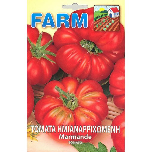 FARM 230 – Lycopersicon esculentum