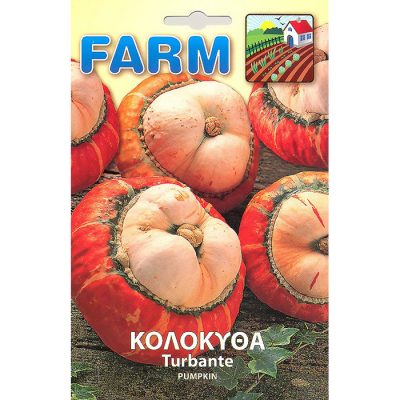 FARM 242 - ΚΟΛΟΚΥΘΑ TURBAN - Cucurbita maxima