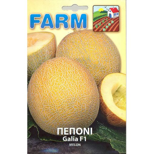 FARM 243 - ΠΕΠΟΝΙ GALIA - Cucumis melo