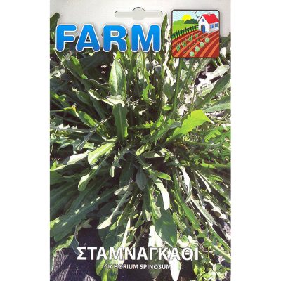 FARM 534 – Cichorium spinosum