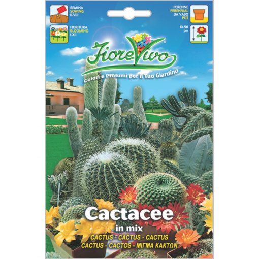 C044 - Cactus