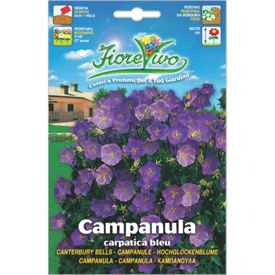 C074 - ΚΑΜΠΑΝΟΥΛΑ ΚΟΝΤΗ ΜΠΛΕ - Campanula carpatica