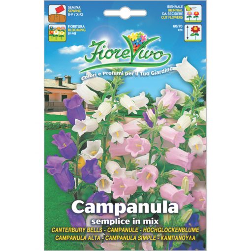 C084 - ΚΑΜΠΑΝΟΥΛΑ ΨΗΛΗ ΜΕΙΓΜΑ - Campanula grandiflora