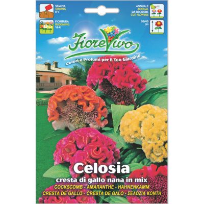 C114 - Celosia cristata