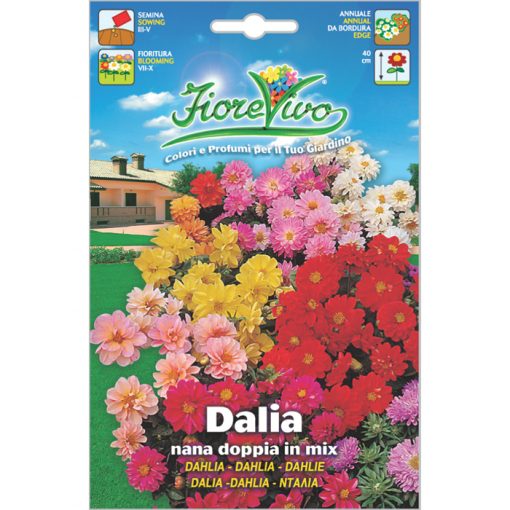 D014 - Dahlia variabilis