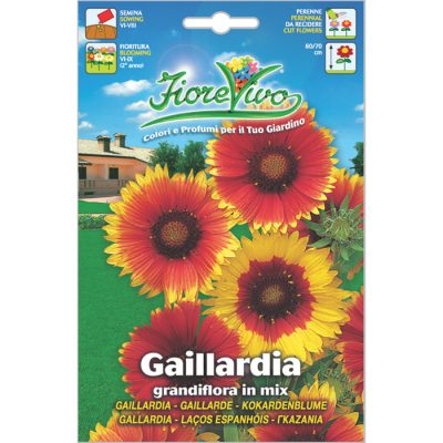 G014 - ΓΚΑΪΛΑΡΔΙΑ ΜΕΙΓΜΑ - Gaillardia aristata