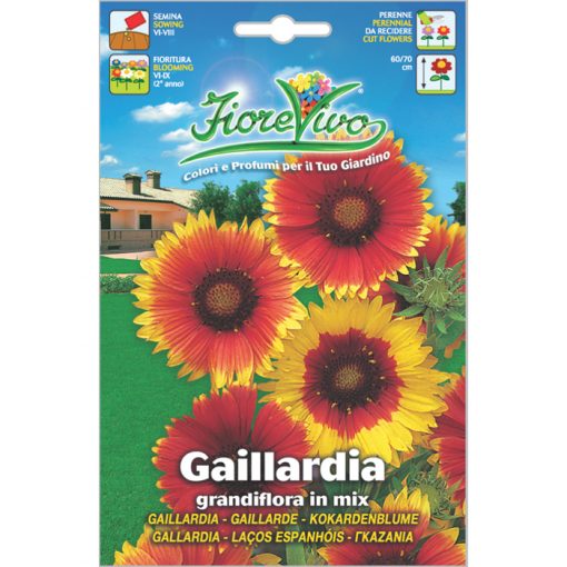 G014 - Gaillardia aristata