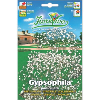 G164 - ΓΥΨΟΦΥΛΛΗ ΜΙΚΡΟ ΑΝΘΟΣ ΛΕΥΚΗ – Gypsophila paniculata
