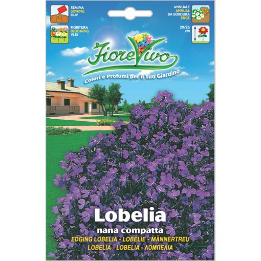 L024 - ΛΟΜΠΕΛΙΑ ΜΟΒ - Lobelia erinus