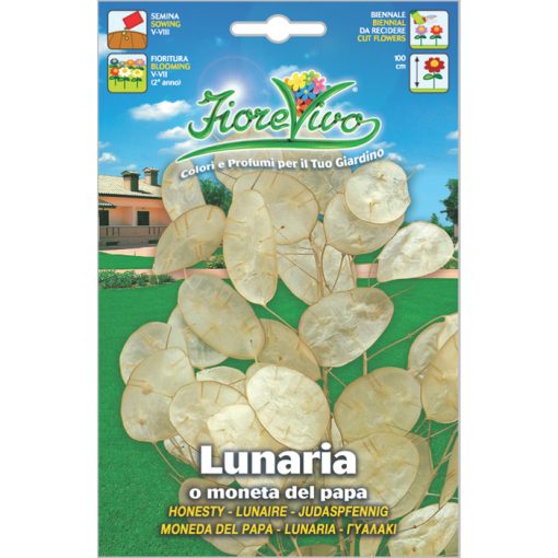 L034 - ΛΟΥΝΑΡΙΑ - ΓΥΑΛΑΚΙ - Lunaria annua