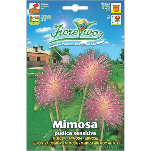 M064 - Mimosa pudica