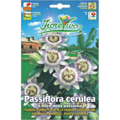 P014 - ΠΑΣΙΦΛΟΡΑ - ΡΟΛΟΓΙΑ – Passiflora caerulea