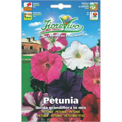 P034 - ΠΕΤΟΥΝΙΑ ΥΒΡΙΔΙΟ ΓΙΓΑΣ ΜΕΙΓΜΑ – Petunia hybrida