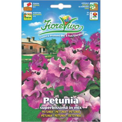 P054 - ΠΕΤΟΥΝΙΑ ΥΒΡΙΔΙΟ ΣΓΟΥΡΗ ΜΕΙΓΜΑ – Petunia hybrida