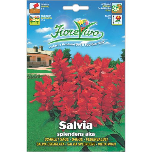 S014 - Salvia splendens