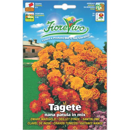 T014 - ΚΑΤΙΦΕΣ ΝΑΝΟΣ ΜΕΙΓΜΑ - Tagetes patula-erecta