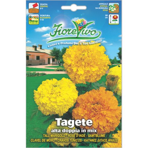 T034 - ΚΑΤΙΦΕΣ ΔΙΠΛΟΣ ΨΗΛΟΣ - Tagetes patula-erecta