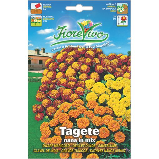 T054 - ΚΑΤΙΦΕΣ ΝΑΝΟΣ ΜΕΙΓΜΑ - Tagetes patula-erecta
