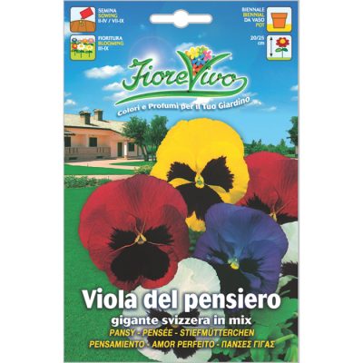 V024 - ΠΑΝΣΕΣ ΓΙΓΑΣ ΜΕΙΓΜΑ – Viola tricolor
