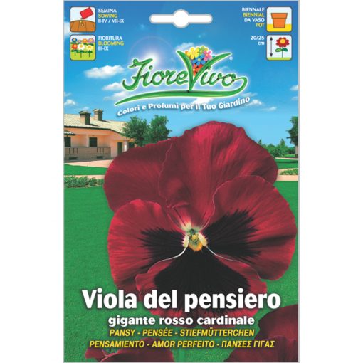V054 - ΠΑΝΣΕΣ ΓΙΓΑΣ ΚΟΚΚΙΝΟΣ – Viola tricolor