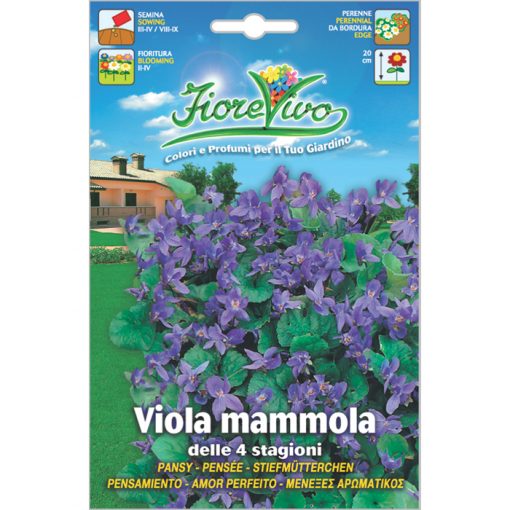 V064 - ΜΕΝΕΞΕΣ ΑΡΩΜΑΤΙΚΟΣ – Viola odorata
