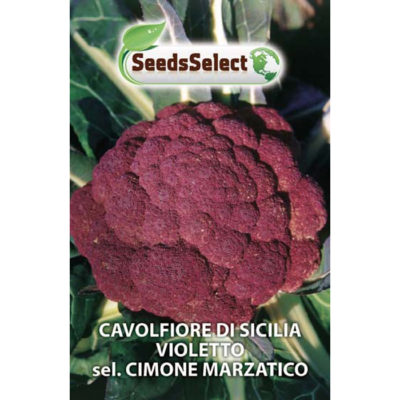 CVF09 - Brassica oleracea var. botrytis