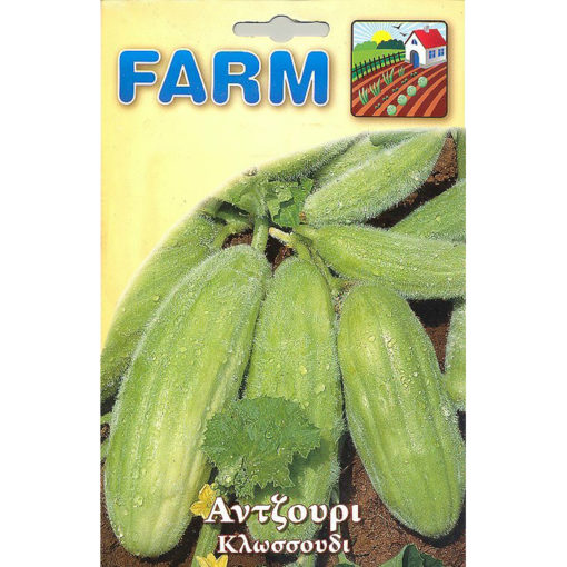 FARM 107 – cucumis melo var. adzhur