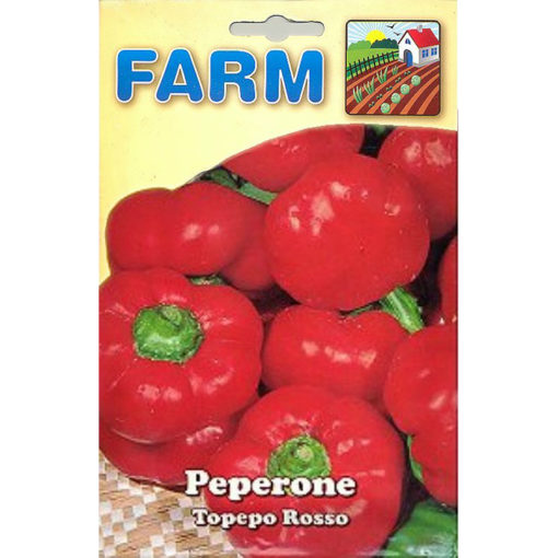 FARM 197 – Capsicum annuum