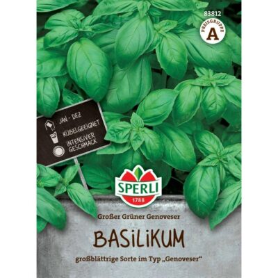 83812 – Βασιλικός ιταλικός pesto – Ocimun basilicum