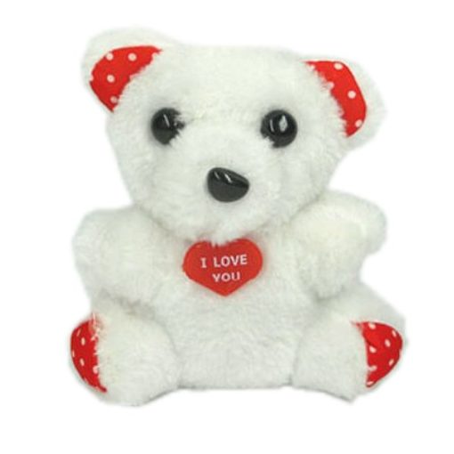 Valentine's Day Teddy Bear 22310