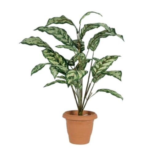 Artificial plant – Aglaonema 310650