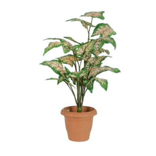 Artificial plant – Caladium 310650