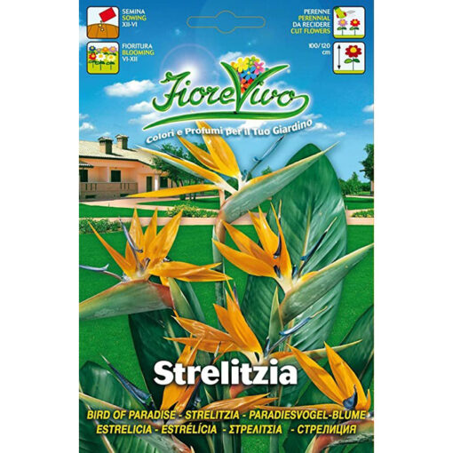 S064 - Strelitzia reginae
