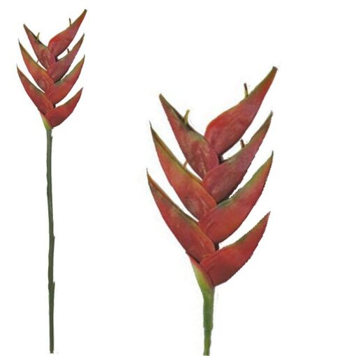 Artificial Heliconia stem