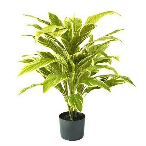 Τεχνητό φυτό – Κορδελίνα κίτρινη x 48 φύλλα 31650